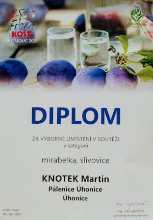 Diplom Flora Košt